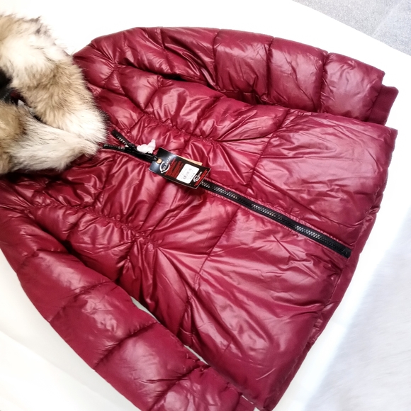 Celsius Premium Puffer Jacket For women's - Picture 6 of 8